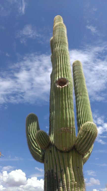 My Place 4* Wickenburg